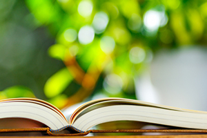 東北大学片平キャンパス